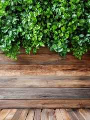 Leaves on wall banner