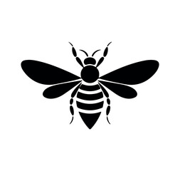 Illustration of a single black bee with detailed wings and striped body on a white background, bee logo, bee silhouette, bee vector