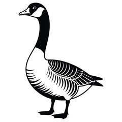 goose isolated on white background