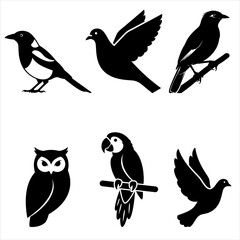 A collection of black bird silhouettes and illustrations, including bullfinch, crow, and raven, perched on a branch