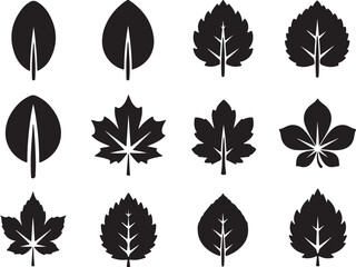 Obraz premium Collection of various leaf icons and silhouettes isolated on white background