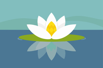 Serene White Water Lily Spa Wellness Nature