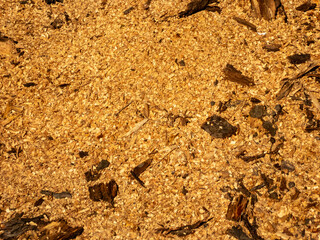 Detailed texture of a pile of sawdust