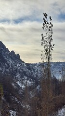 There is a winter chill and natural silence in the air.