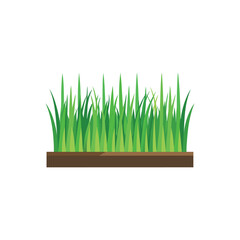verdant grass tufts row flat vector illustration