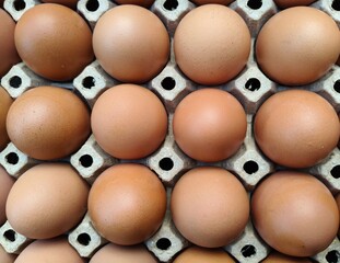 Several eggs in a tray, a dish that is both easy to find and delicious.