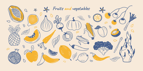 A large set of vegetables and fruits hand-drawn in a modern style. A trendy abstract style of minimalism. A vector illustration of the concept of proper nutrition.