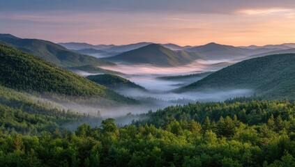Misty mountain range at dawn, lush green forests