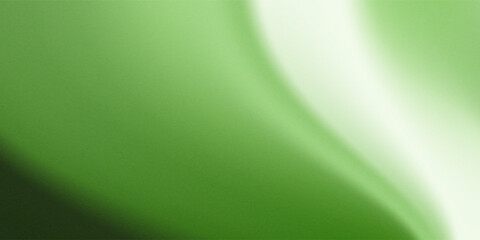 Abstract background Soft green white light on gradient background vector eps10.