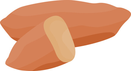 Sweet Potato Illustration
