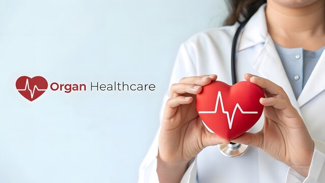 World Organ Health Care, Organ Health Care – Red Heart with Stethoscope in Hospital Background.
