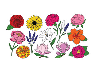 Floral Arrangement: A beautiful, intricate vector illustration showcasing a stunning floral arrangement, where vivid hues bring botanical elegance to life. 