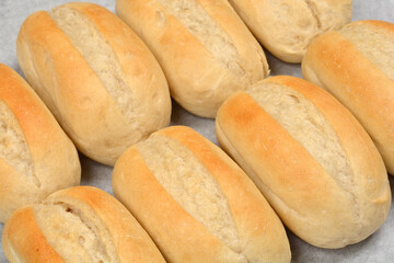 A multitude of freshly baked oval-shaped rolls are lying diagonally on baking paper, photographed from an angled top-down view
