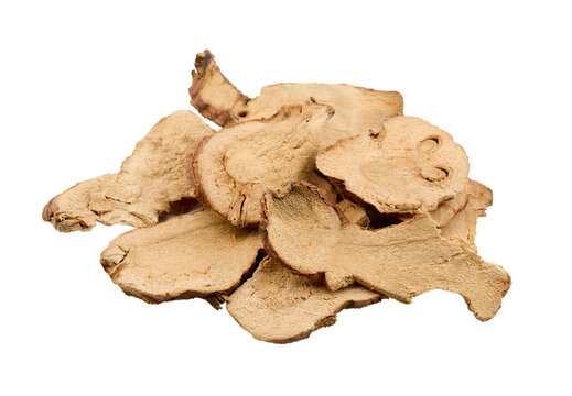 closeup pile of dry galangal root cutout