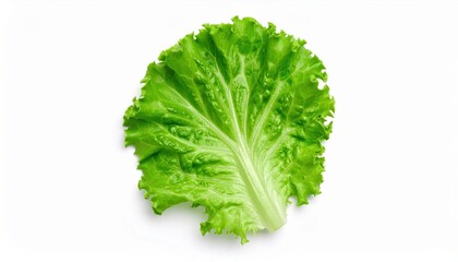 Endless Repetition of Light Patterns Creating a Dreamlike Atmosphere of Calm and Tranquility