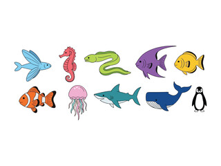 Marine Life Collection: A vibrant assortment of aquatic creatures, artistically presented to bring the magic of the ocean. Capturing a wide array of fish and underwater life