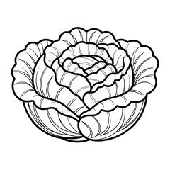 A black and white cabbage illustration line art of a coloring page