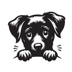 Vector silhouette of  dog on white backgroud.