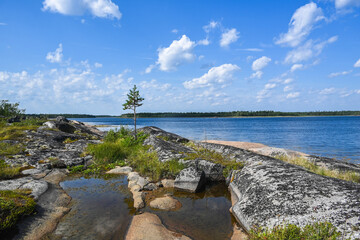 Obraz premium The White Sea coast.