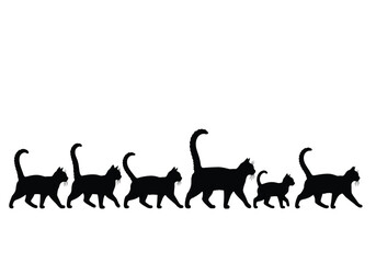 A procession of black cats, various sizes, walking in a line.