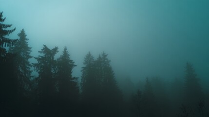 A misty forest at dusk, tall pines shrouded in fog, evoking a sense of mystery and quiet solitude.
