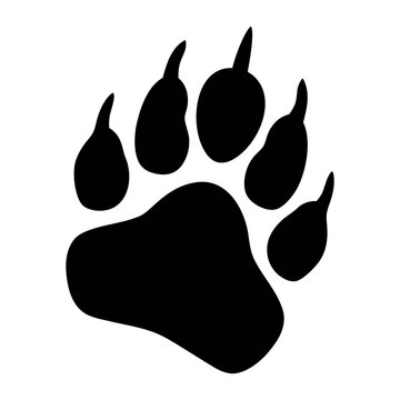 Bear paw print vector illustration for animal tracks icon or wildlife symbol graphic design element