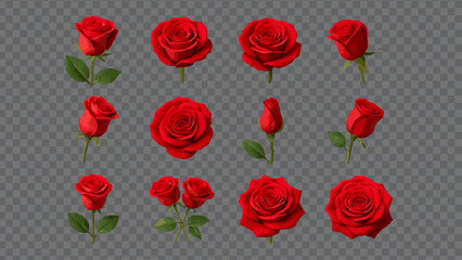Set of 12 Realistic Red Rose Vector Illustrations – Blooming Roses, Rose Buds, and Stems Isolated on Transparent Background