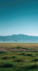 Fototapeta premium Vast, grassy plain stretches to hazy mountain range under a pale blue sky