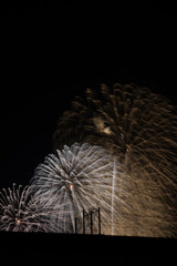 Obraz premium 都会の夜空を彩る光の華