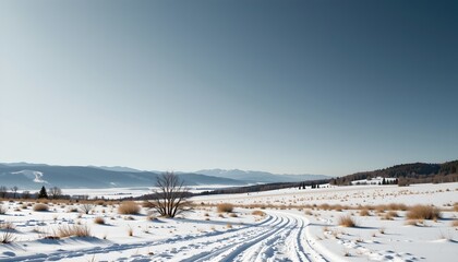 Tranquil Winter Landscape Under Clear
