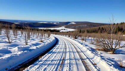 Serene Winter Landscape with Snowcovered Road and Trees