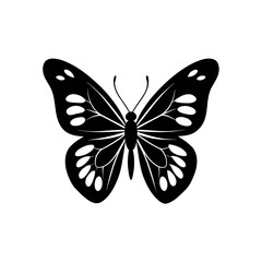 Butterfly black icon on transparent background silhouette