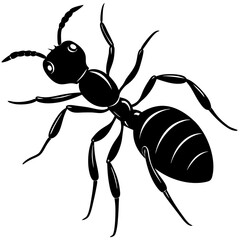 Black ant silhouette with detailed legs and antennae
