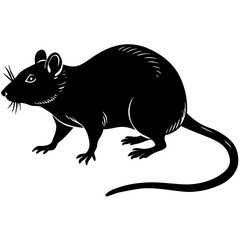 A detailed black silhouette of a rat on a white background