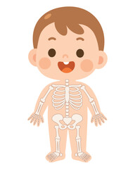 Cute Child Skeleton Anatomy Illustration – Educational Cartoon Vector