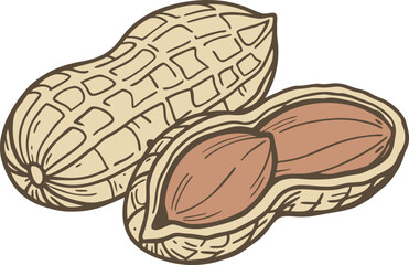 Peanut Design with Natural Shell and Texture. Detailed Peanut Illustration Highlighting Organic Appearance. High Quality Peanut Design for Food and Snack Themes. Fresh Peanut Artwork Emphasizing