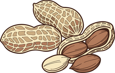 Peanut Design with Natural Shell and Texture. Detailed Peanut Illustration Highlighting Organic Appearance. High Quality Peanut Design for Food and Snack Themes. Fresh Peanut Artwork Emphasizing
