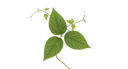 Lush Green Leaves Tropical Foliage Frame Perfect for Eco-Friendly Branding