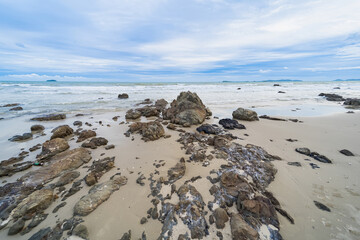 Rocky shoreline with scattered stones and gentle waves under a cloudy sky on a serene beach landscape during low tide