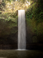 Tropical Bali Waterfall in Lush Rainforest 