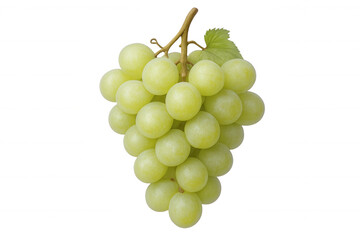 Fresh green grapes hanging on the vine with a transparent background, perfect for food and beverage projects