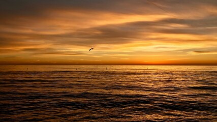 Golden Sunset Over the Sea