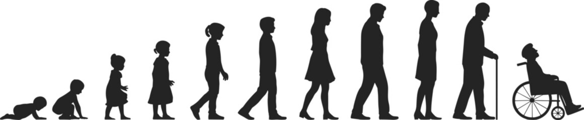 Silhouette, human life, stages, aging, baby, child, adult, elderly, cane, wheelchair, vector, timeline
