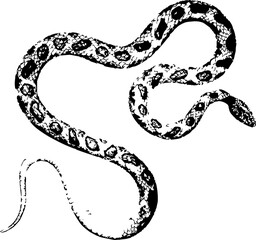 abstract illustration snake silhouette. Illustration of shape as an example of snake design. Diseño abstracto de serpiente en color blanco, negro, verde y guinda. PNG. VEXTOREN. JPG