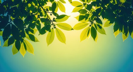 Obraz premium Fresh Green Leaves Canopy Against Sky Background, Representing Growth, Natural Beauty, and Environmental Awareness