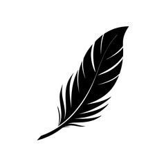 Simple feather design on transparent background silhouette