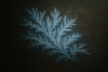 Intricate Frost Pattern on Dark Background