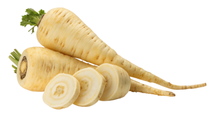 Fresh parsnips with sliced roots displayed on white background healthy vegetable nutrition focus