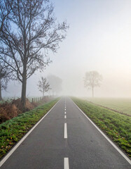 Fototapeta premium Minimalist Cycling Path in Light Morning Fog