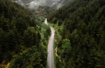 Aerial view of a winding road